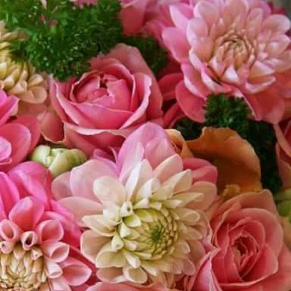 Meet your Posher, Tanya